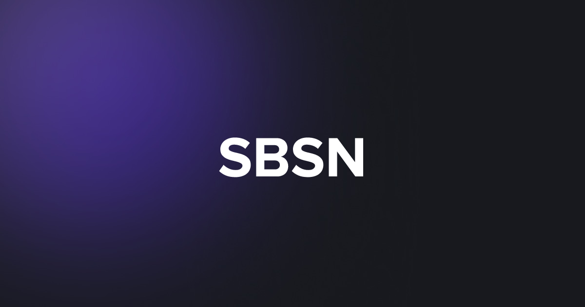 BRC20 SBSN
