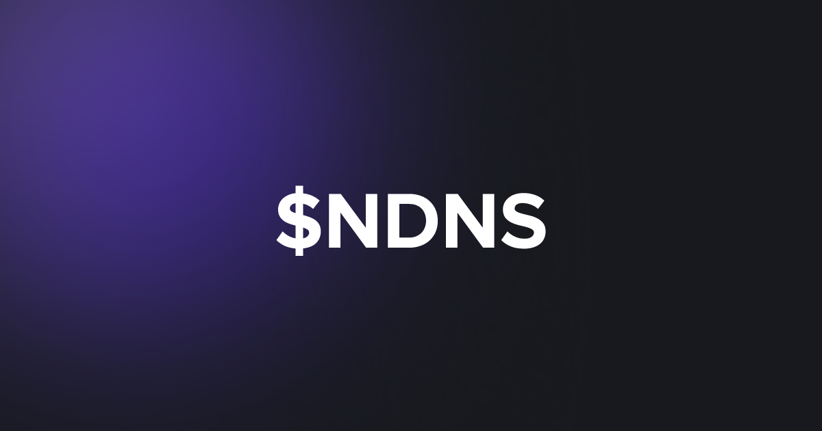 BRC20 $NDNS