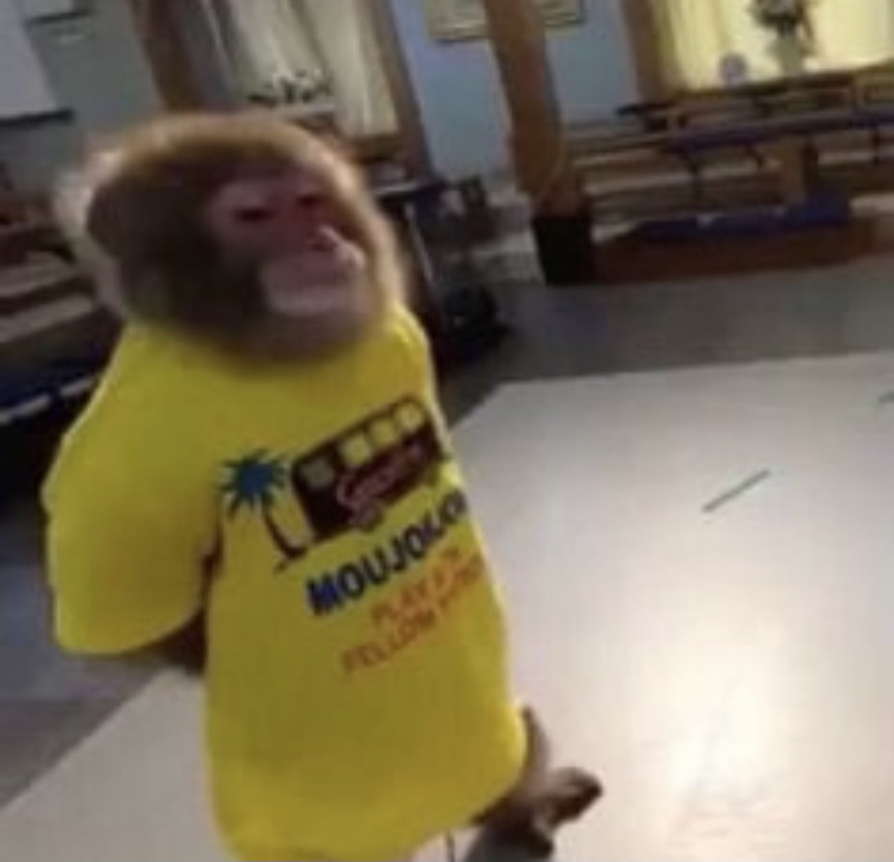 AURA MONKEY