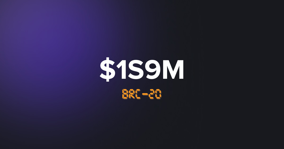 BRC20 1S9M