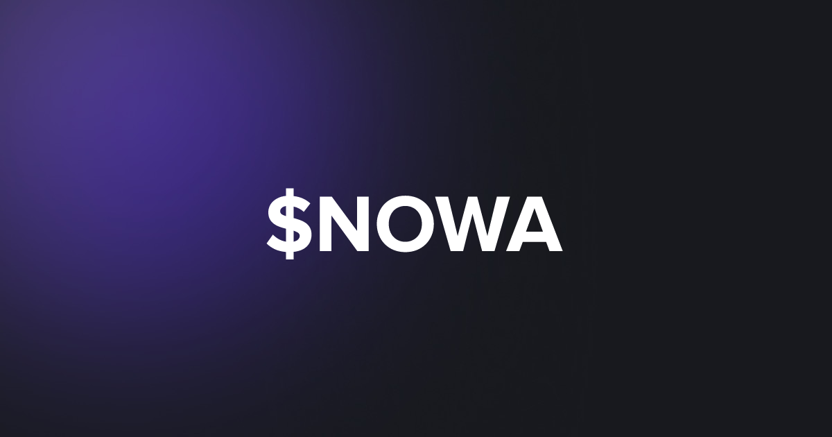 BRC20 $NOWA