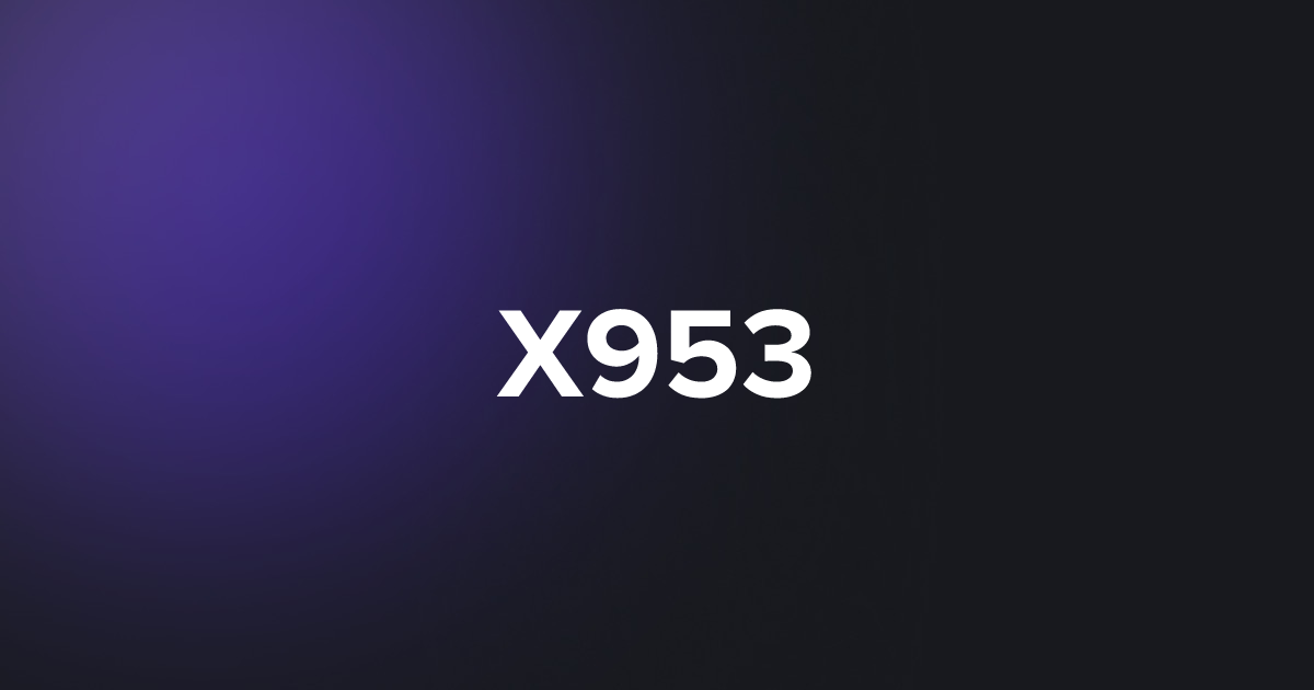 BRC20 X953