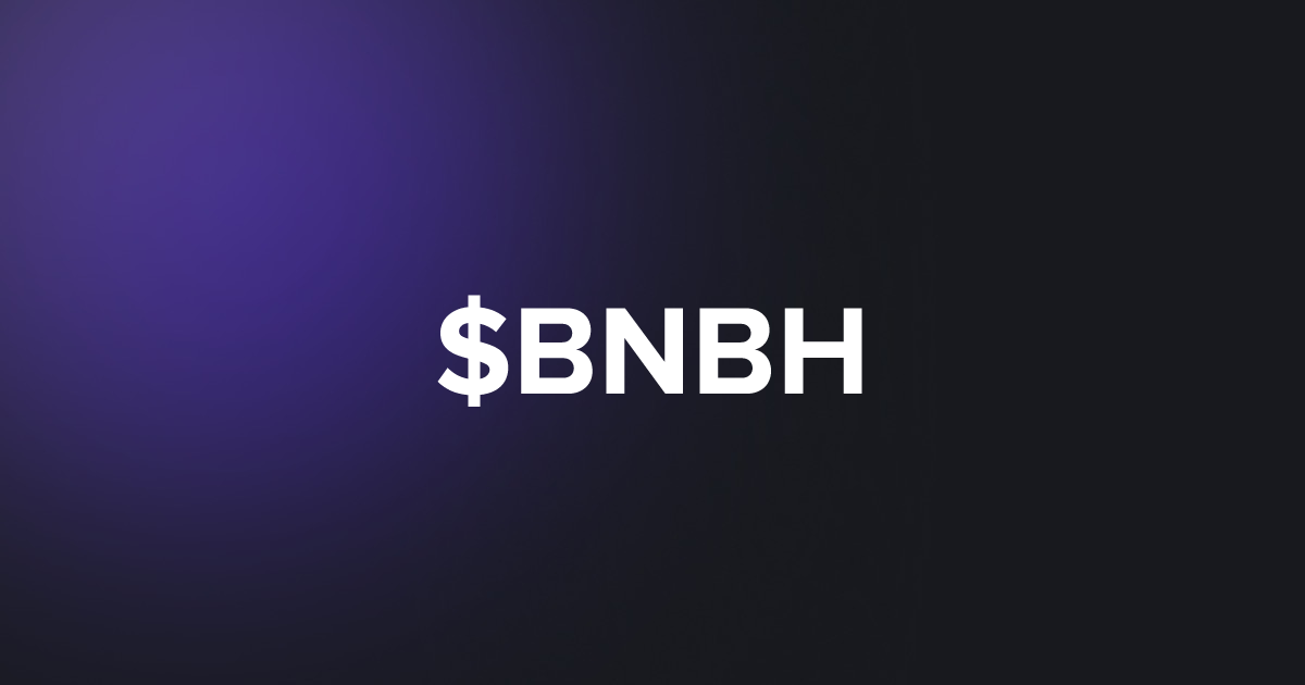 BRC20 $BNBH
