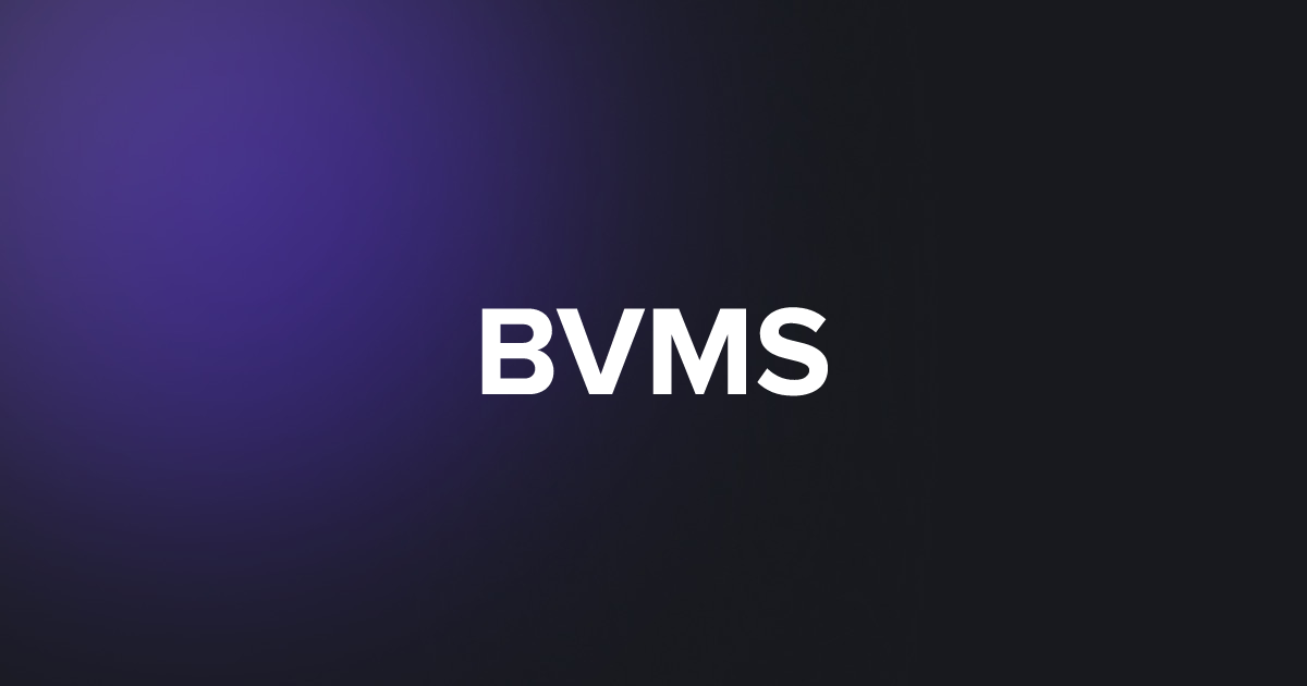 BRC20 BVMS